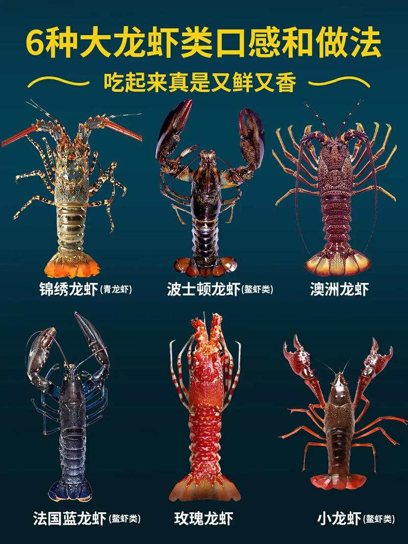 新澳门彩出号综合走势图和班主任做小龙虾宴与班主任做小龙虾宴的文案
